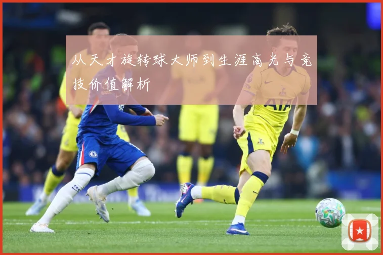 从天才旋转球大师到生涯高光与竞技价值解析