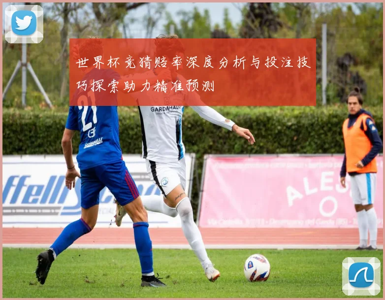 世界杯竞猜赔率深度分析与投注技巧探索助力精准预测
