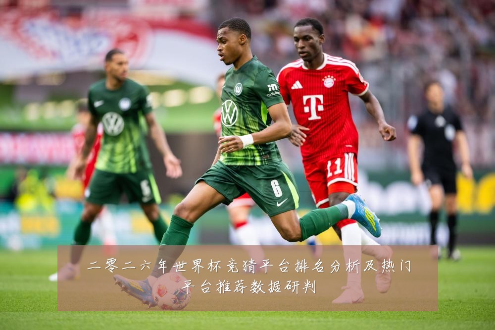 二零二六年世界杯竞猜平台排名分析及热门平台推荐数据研判
