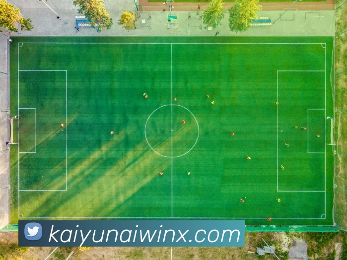 开云平台展示图